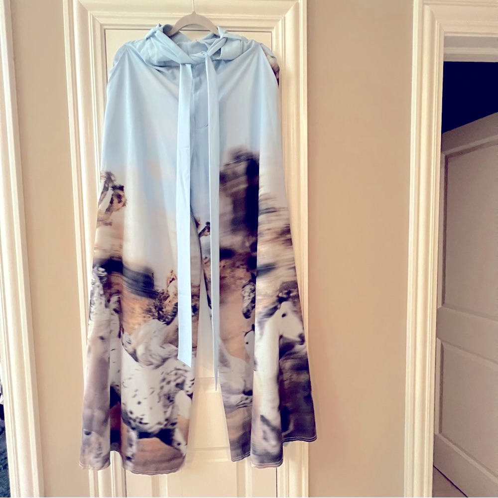 New Fancy Rare Baja East Wild Horses Wide Palazzo Pants
